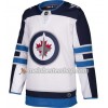 Winnipeg Jets Blank Adidas Weiß Trikot Authentic - Herren